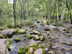 -玉渡山自然风景区