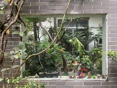 -小洲村