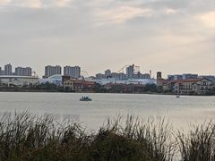 -九龙湖公园