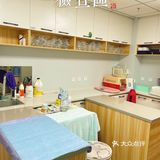 萌兔的一场健康之旅🚢｜关忠动物医院🏥