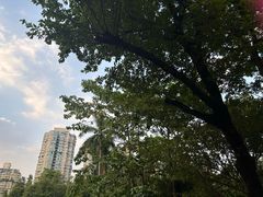 -晓港公园