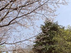 -白塘生态植物园