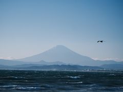 -灌篮高手动画打卡地