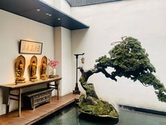 -觀芷隐轩·宋宴(河坊街店)