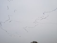 -厦门园林博览苑