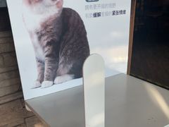 -宠颐生斯嘉宠物医院·急重症·心内科(谷阳北路分院)