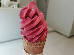 冰山葡萄雪筒-喜茶(广州中山六路店)