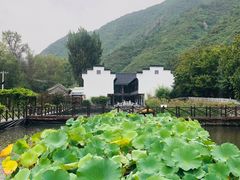 -荷塘味道(水长城店)