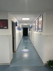 -温州伯思立医院