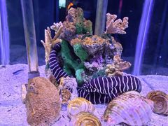 -太平洋海底世界