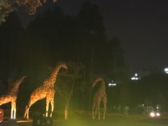 -芭夯兔·兔肉汤锅(新都店)