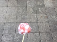 山楂球-粒上皇(淮河路步行街店)