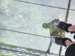 -梦幻奥陶纪景区