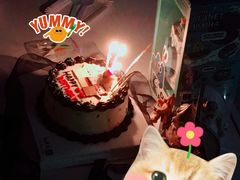 -鹿屿DIY烘焙·公司团建·生日会包场(广州东站店)