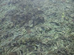 -蓝湾海滩