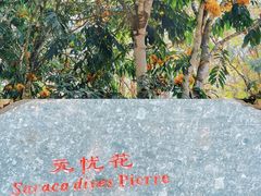 -中国科学院西双版纳热带植物园