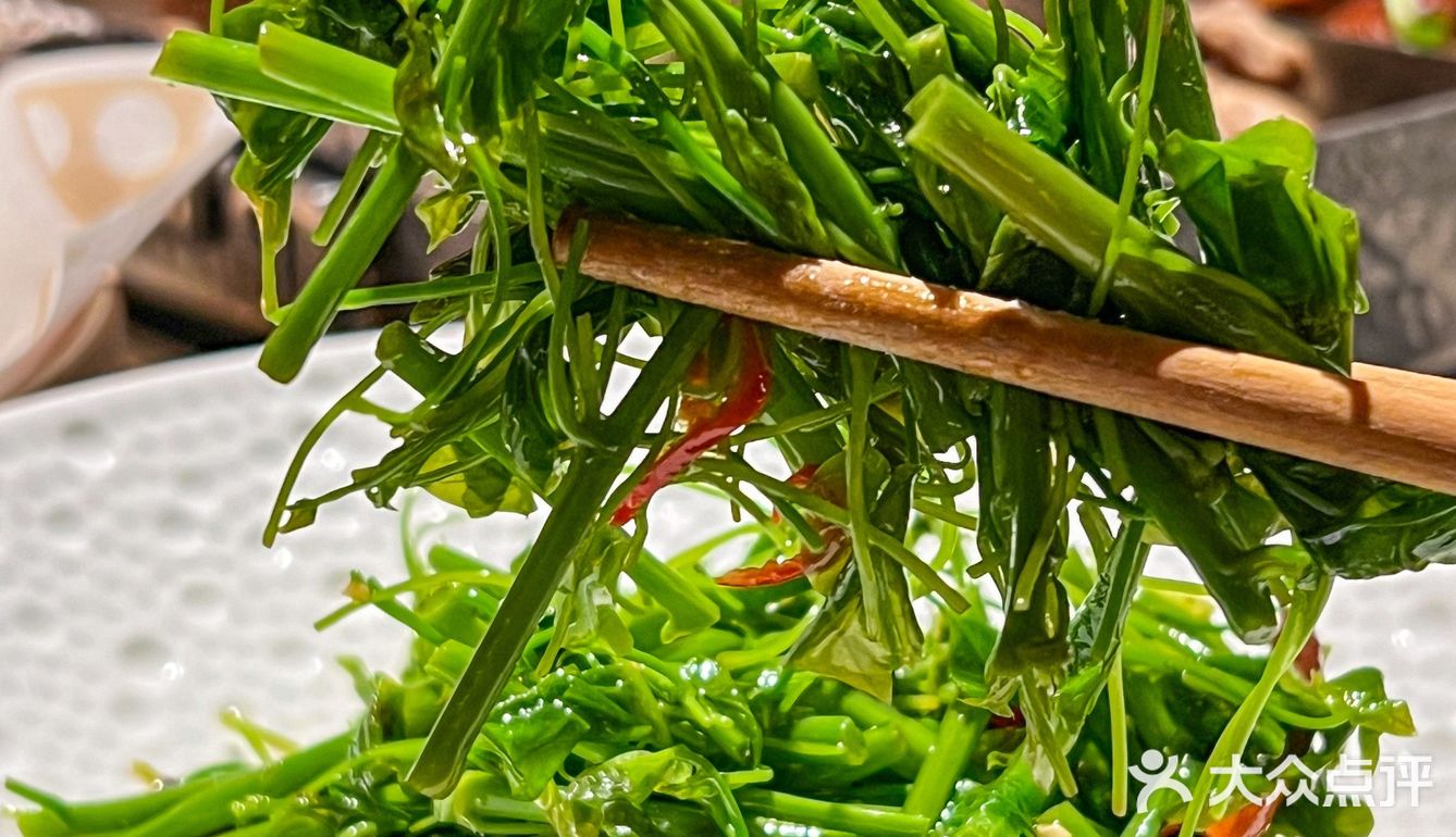 浩爷羊蝎子怎么能这么好吃，N刷都不腻啊！