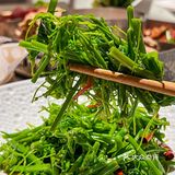 浩爷羊蝎子怎么能这么好吃，N刷都不腻啊！