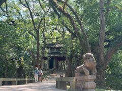 -溪口-滕头旅游景区