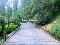 -信号山公园