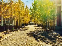 -清风小镇闯关东影视基地