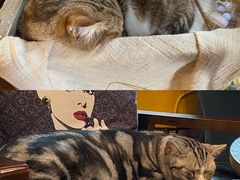 -咖法森林·咖啡  酒吧(天河店)