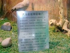 -郑州自然博物馆(惠济区)