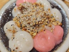 -海丝金凤(金鱼店)