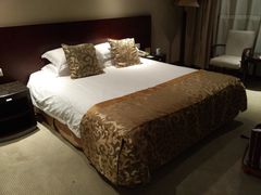 -春兰国宾馆(凤城河风景区老街店)