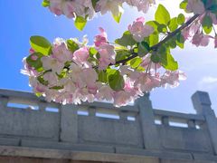 -海棠花溪(元大都城垣遗址公园)