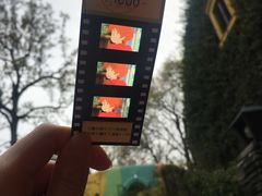 -三鹰之森吉卜力美术馆