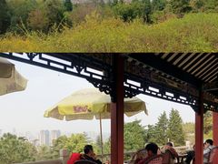 -富乐山