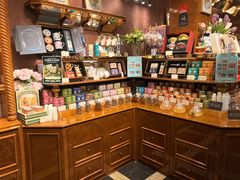 -布兰兔的植物庄园(杭州南宋御街店)