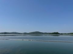 -渤公岛生态公园