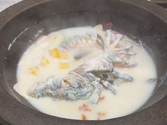 -鲜潭蒸汽石锅鱼(五道口购物中心店)