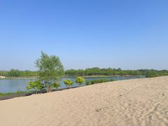 -东郊湿地公园