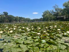 -承德避暑山庄景区