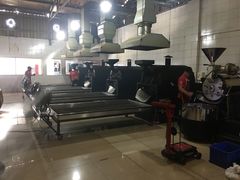 -巴厘岛黄金金兔咖啡工厂