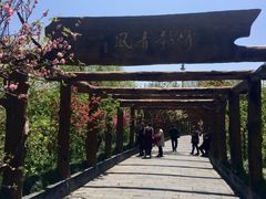 -南汇桃花村