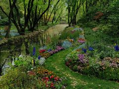 -上海共青森林公园