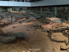 -自贡恐龙博物馆