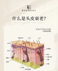 -木北造型