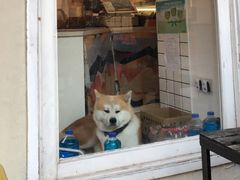 -餐酒吧Com-ing Bar(上海路店)