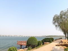 -丁香湖公园