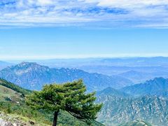 -灵山