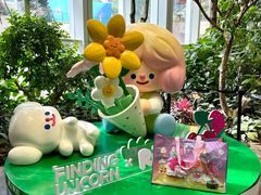 -KKV(重庆光环购物公园店)
