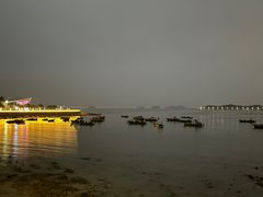 -野狸岛