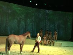 -cavalia·舞马