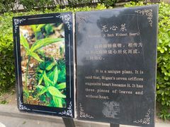 -比干庙景区