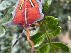 -水濂山森林公园
